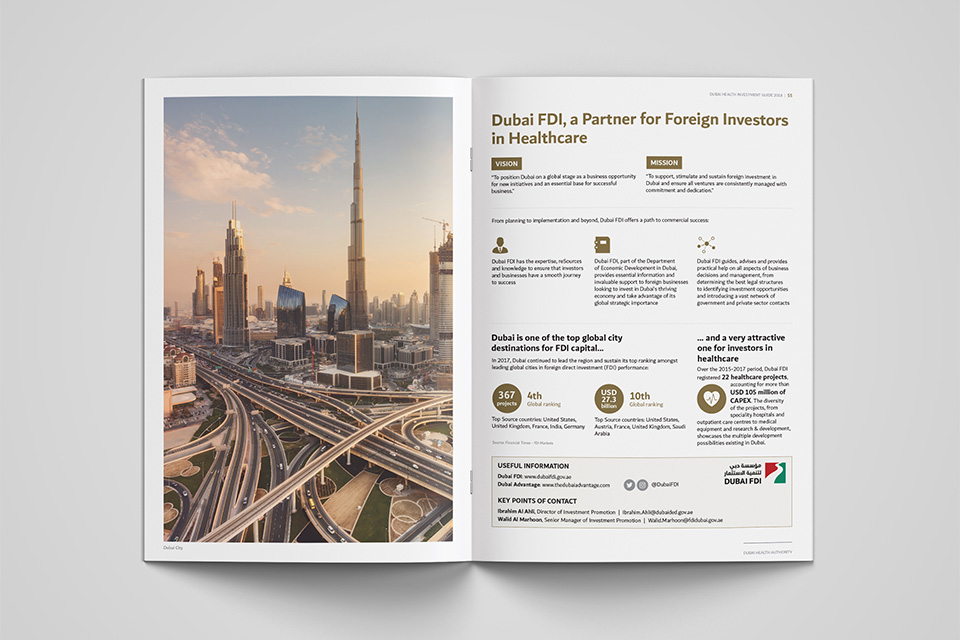 Dubai Health Investment Guide